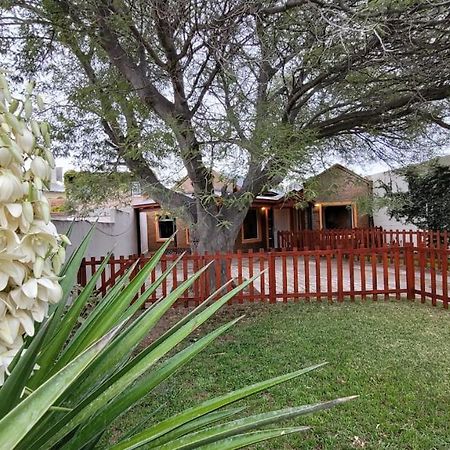 El Patio Del Aromo Leilighet Puerto Madryn Eksteriør bilde