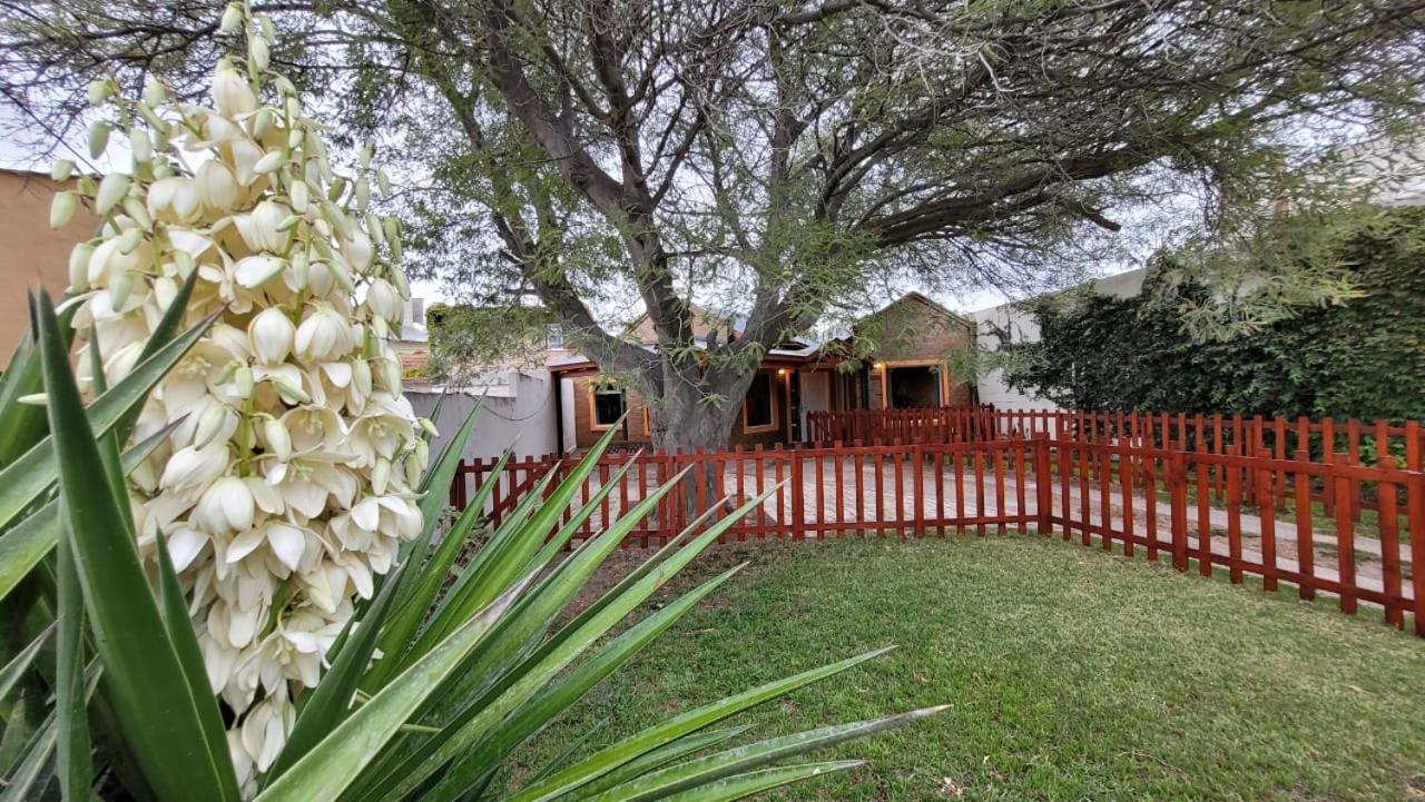 El Patio Del Aromo Leilighet Puerto Madryn Eksteriør bilde