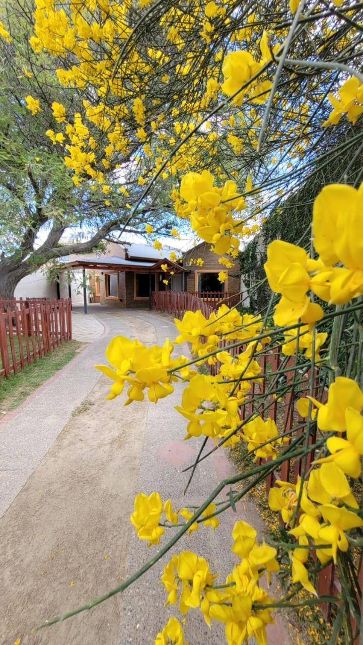 El Patio Del Aromo Leilighet Puerto Madryn Eksteriør bilde