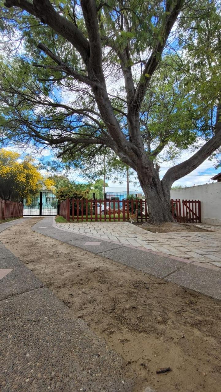 El Patio Del Aromo Leilighet Puerto Madryn Eksteriør bilde